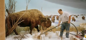 schirn_presse_dioramas_manwithbuffalo_2007_crichardbarnes_0